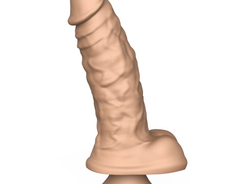 Photorealistic 3D Print Ready Penis Toy 3D 프린트 모델