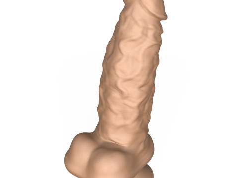 Photorealistic 3D Print Ready Penis Toy 3D 프린트 모델