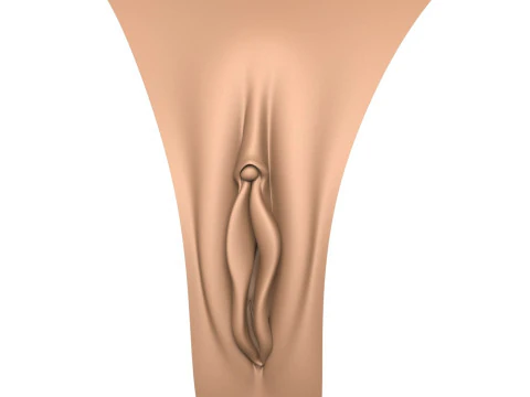 3D プリント対応女性の膣 3Dプリントモデル