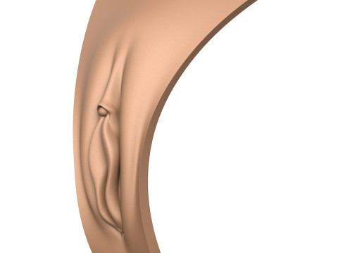 3D Print Ready Woman Vagina 3D Print Model