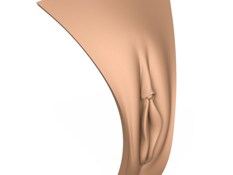 3D Print Ready Woman Vagina 3D Print Model