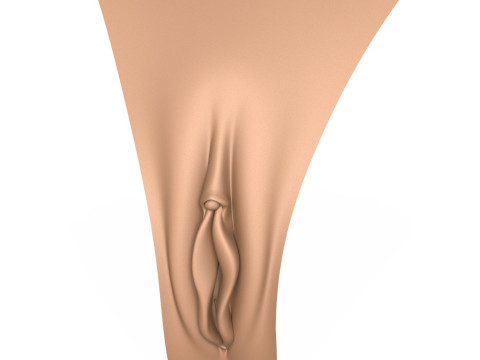 3D Print Ready Woman Vagina 3D Print Model