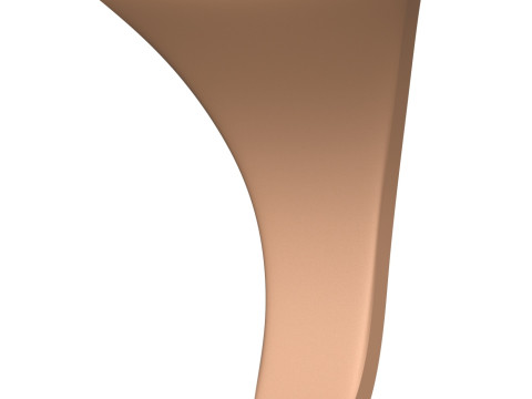 3D Print Ready Woman Vagina 3D Print Model