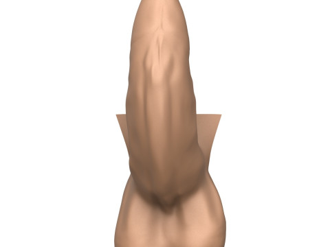 3D Print Ready Uncircumcised Erect Penis 3D Принт Модель