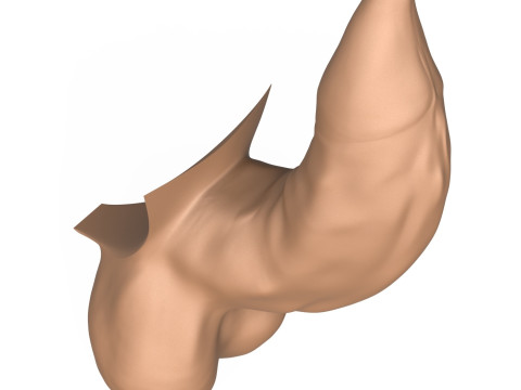 3D Print Ready Uncircumcised Erect Penis 3D Принт Модель