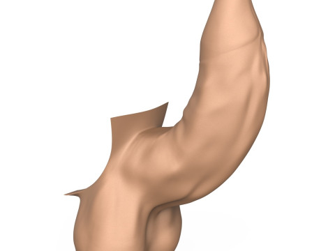 3D Print Ready Uncircumcised Erect Penis 3D Принт Модель