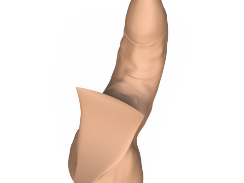 3D Print Ready Uncircumcised Erect Penis 3D Принт Модель