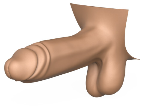 3D Print Ready Man Big Erect Penis 3D Принт Модель
