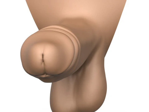 3D Print Ready Man Big Erect Penis 3D Print Model