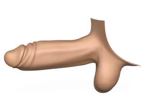 3D Print Ready Man Big Erect Penis 3D Принт Модель