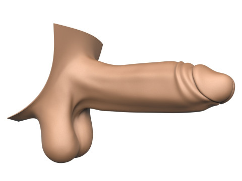 3D Print Ready Man Big Erect Penis 3D Принт Модель