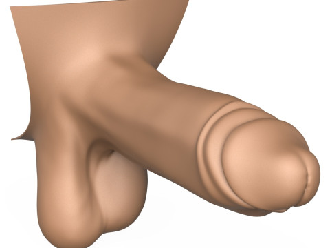 3D Print Ready Man Big Erect Penis 3D Принт Модель