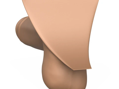 3D Print Ready Man Big Erect Penis 3D Print Model