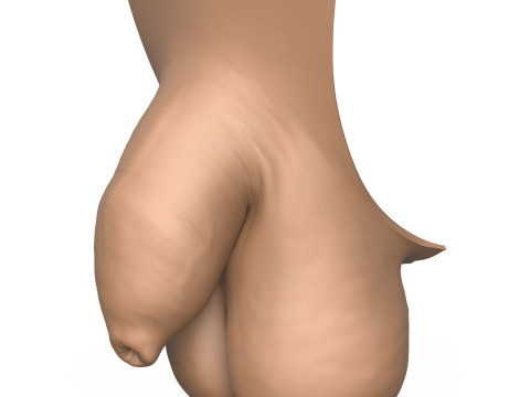 3D Print Ready Uncircumcise Small Penis Modello di stampa 3D