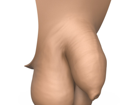 3D Print Ready Uncircumcise Small Penis Modello di stampa 3D