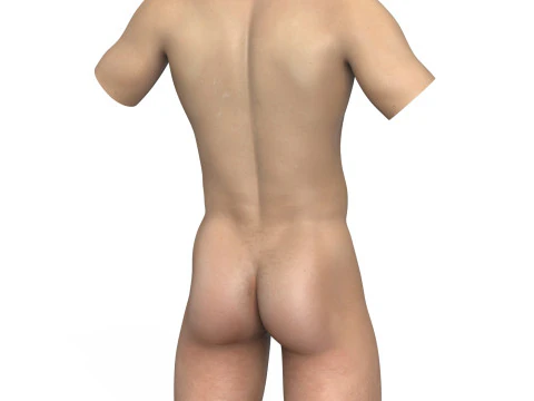 Very Small Penis With Torso 3D Model