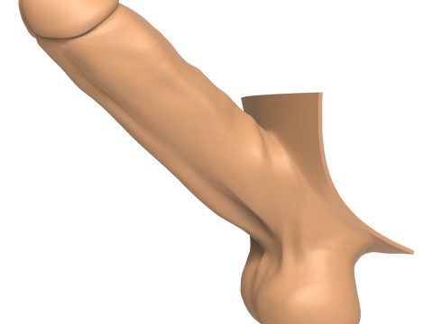 3D Print Ready Straight Erect Penis 3D Print Model