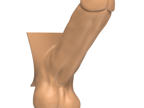 3D Print Ready Straight Erect Penis 3D Print Model