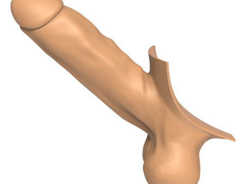 3D Print Ready Straight Erect Penis 3D Print Model