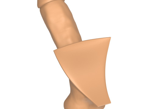 3D Print Ready Straight Erect Penis 3D Print Model