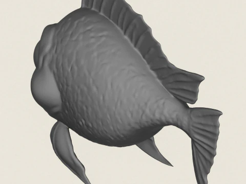 Fish 01 3D Print Model