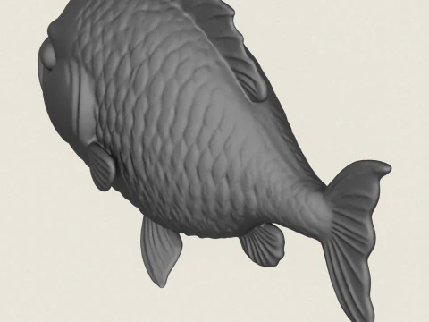 Poisson 05 Modèles 3D en vedette