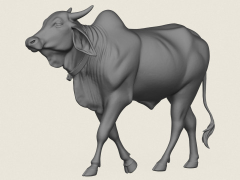 Indian Ox Print Ready Model Cetak 3D