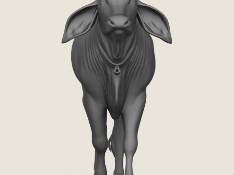 Indian Ox Print Ready Modèles 3D en vedette