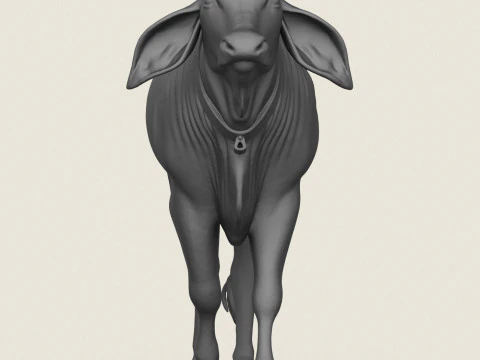 Indian Bull 3D Print Model