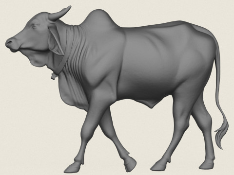 Indian Ox Print Ready Modèles 3D en vedette