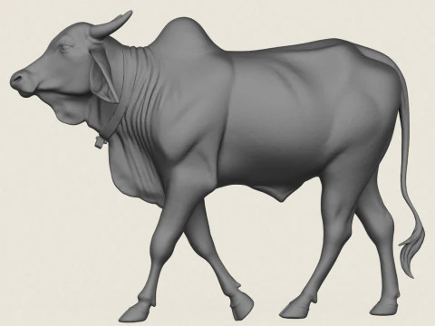 Indian Bull 3D Print Model
