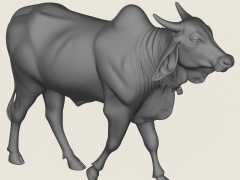 Indian Ox Print Ready Modèles 3D en vedette