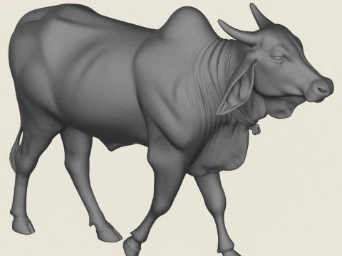 Indian Bull 3D Print Model