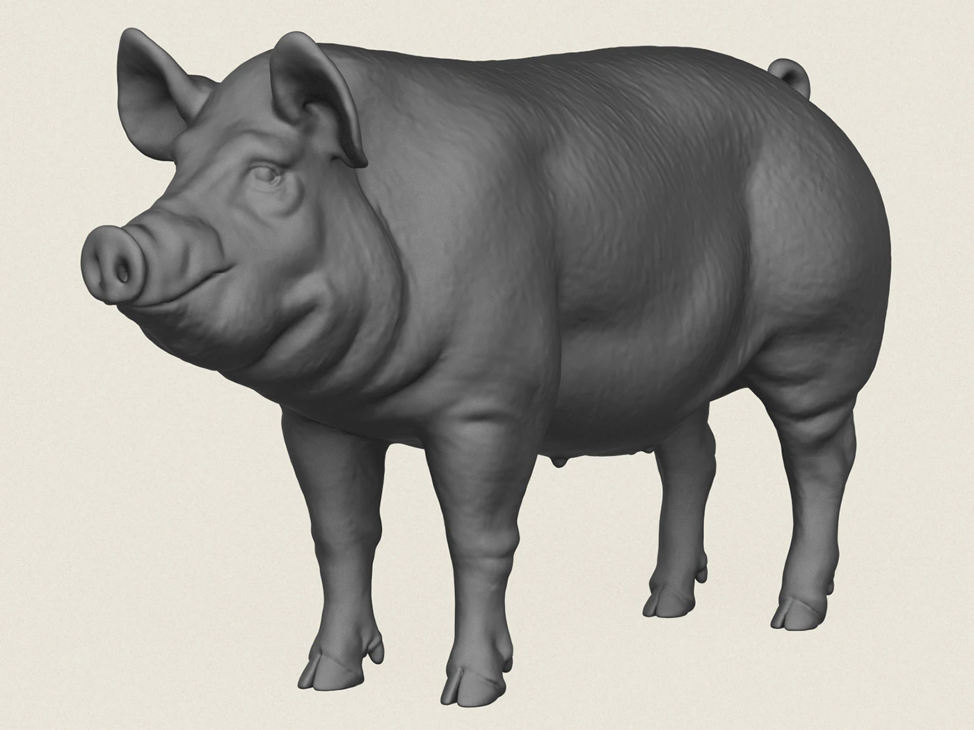 Pig 3D Print Model .c4d .max .obj .3ds .fbx .stl .blend