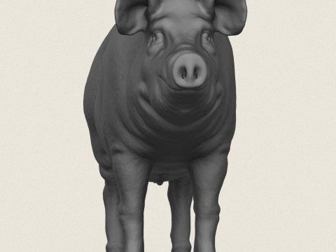 Pig Print Ready 3D Baskı Modeli