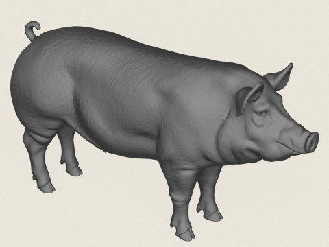 Pig Print Ready 3D Baskı Modeli