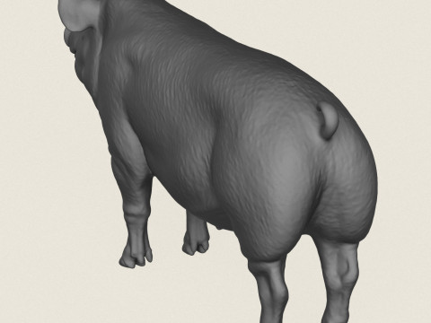 Pig Print Ready 3D Baskı Modeli