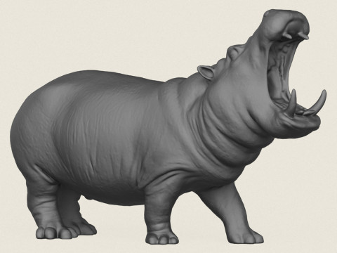 Hippopotamus Print Ready 3D Принт Модель