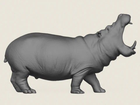 Hippopotamus 3D Print Model