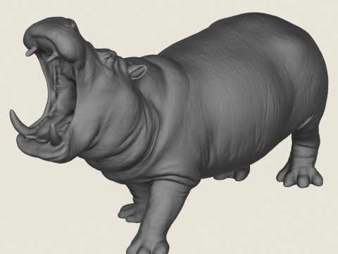 Hippopotamus Print Ready 3Dプリントモデル