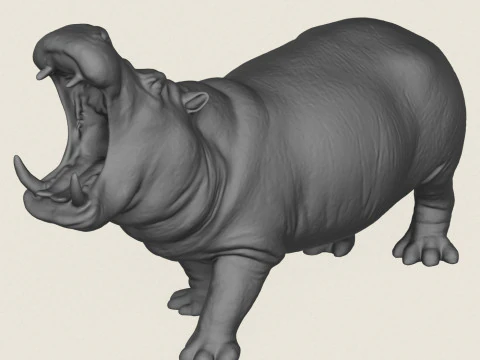 Hippopotamus 3D Print Model