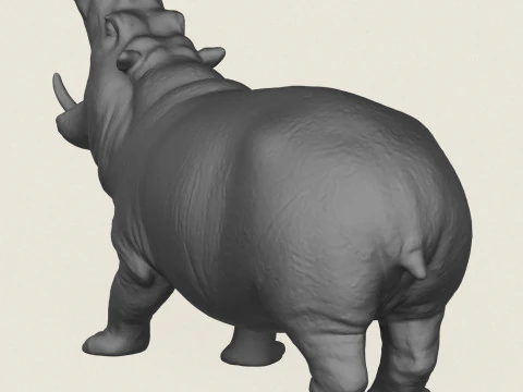 Hippopotamus 3D Print Model