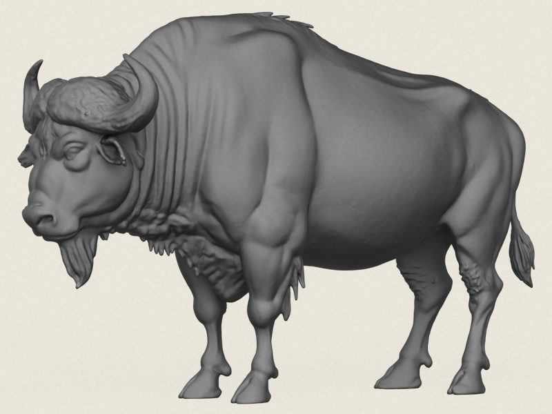 Wild Buffalo 3D Print Model .c4d .max .obj .3ds .fbx .stl .blend