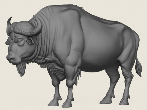 Wild Buffalo Print Ready 3D Принт Модель