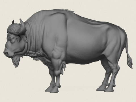Wild Buffalo Print Ready 3D Принт Модель