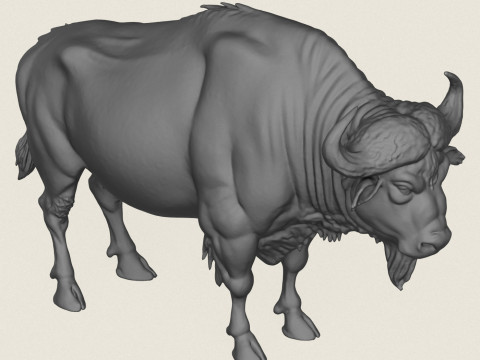 Wild Buffalo Print Ready 3D Принт Модель