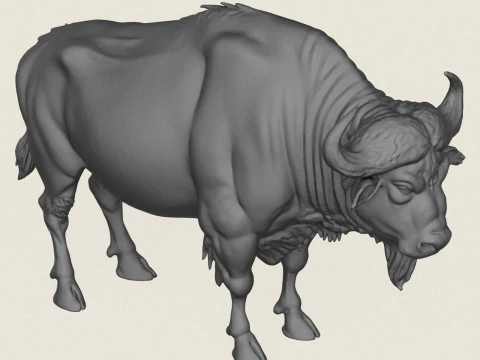 Bufalo selvatico Modello di stampa 3D