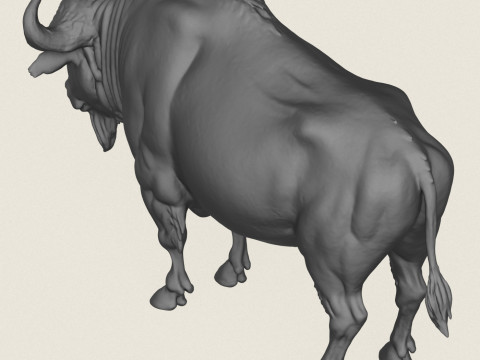 Wild Buffalo Print Ready 3D Принт Модель