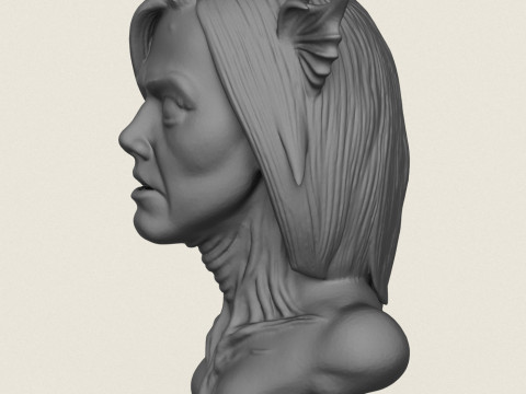 Woman Horror Face Bust Print Ready Modelo de Impressão 3D