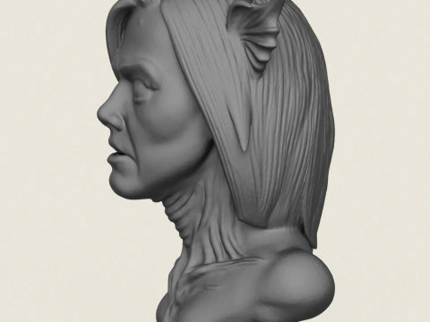 Woman Horror Face Bust 3D Print Model